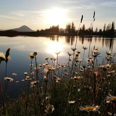 مزرعة للإقامة Hahnenkammblick *