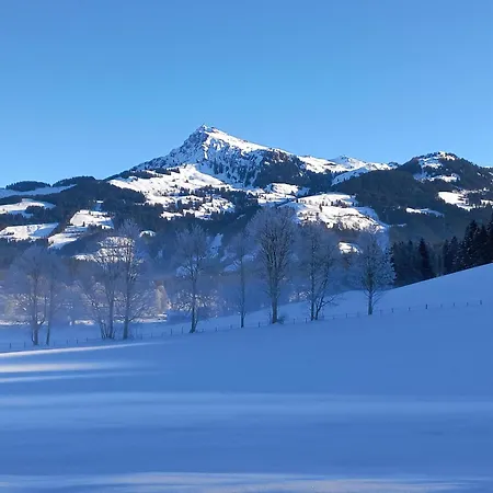 Bauernhof Hahnenkammblick