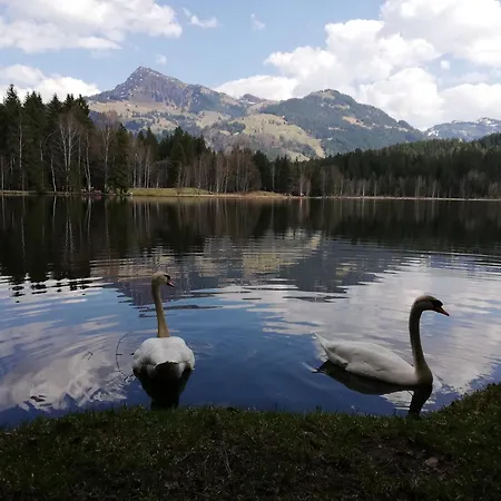 Hahnenkammblick Bauernhof Kitzbühel