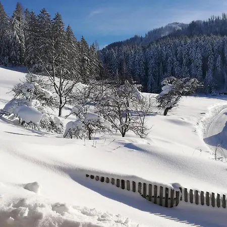 Hahnenkammblick * Kitzbühel