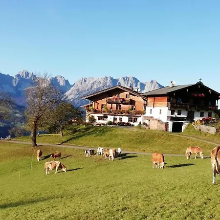 Hahnenkammblick