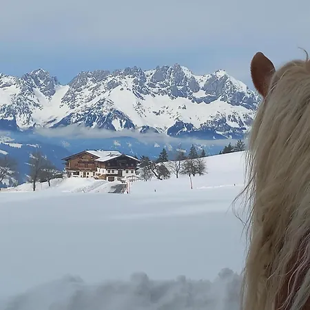 Hahnenkammblick Farm stay *