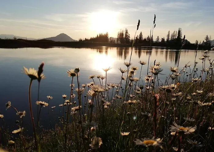Alloggio per agriturismo Hahnenkammblick *