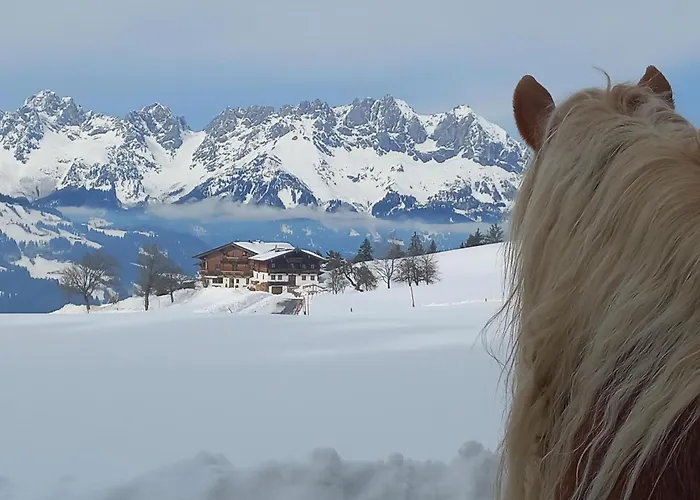 Hahnenkammblick ファームステイ *