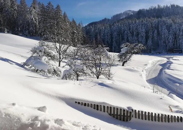 Hahnenkammblick * キッツビュール